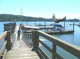 Look closely at the middle right of this photo to see the eagle flying in to snatch a treat from D&D Fishing Charters.